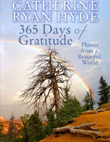 365 Days of Gratitude: Photos from a Beautiful World