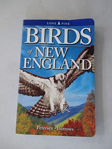 Birds of New England