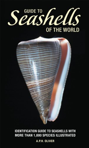 Guide to Seashells of the World (Firefly Pocket series)