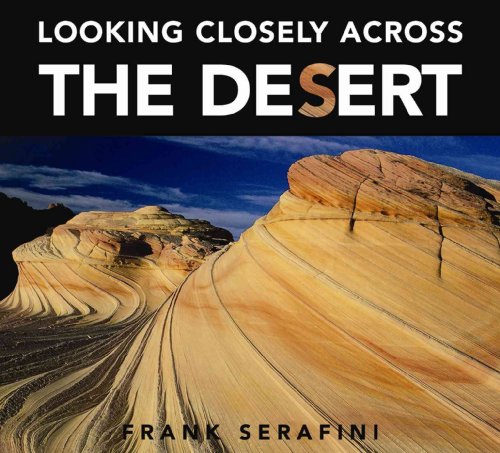 Looking Closely across the Desert