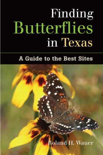 Finding Butterflies in Texas