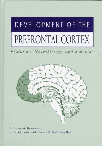 Development of the Prefrontal Cortex: Evolution, Neurobiology, and Behavior