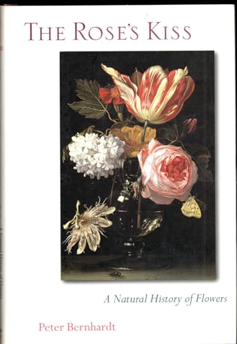 No Image Available