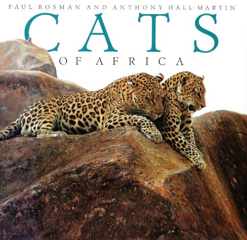 Cats of Africa