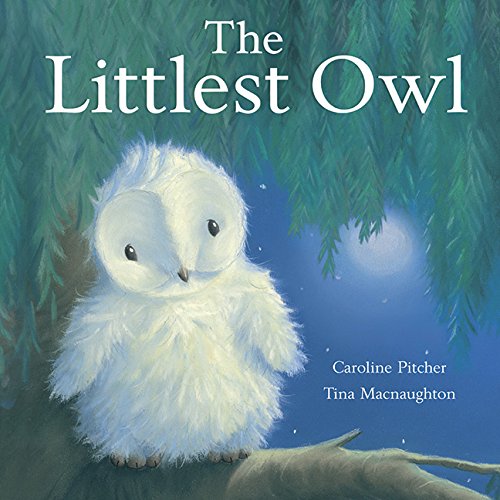 Littlest Owl