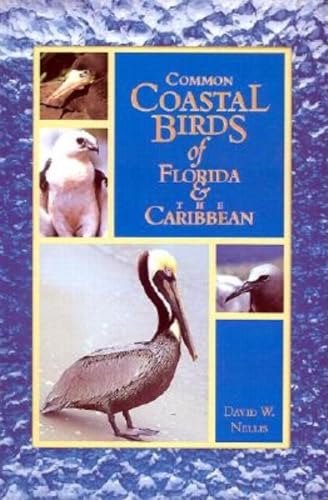Common Coastal Birds of Florida & the Caribbean