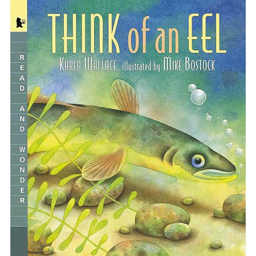 Think of an Eel (Read and Wonder)