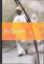 No escape: Male rape in U.S. prisons