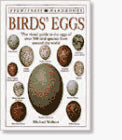 Birds' Eggs (Eyewitness Handbooks)