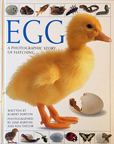 Egg: A Photographic Story of Hatching