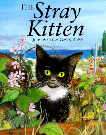 The Stray Kitten