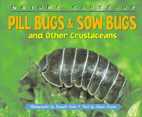 Nature Close-Up - Pill Bugs & Sow Bugs and Other Custaceans