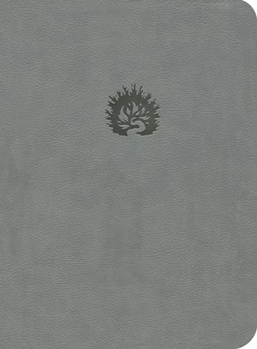 No Image Available