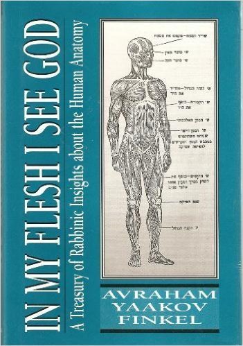 In My Flesh I See God: A Treasury of Rabbinic Insights about the Human Anatomy