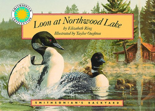 Loon at Northwood Lake (Smithsonian's Backyard)