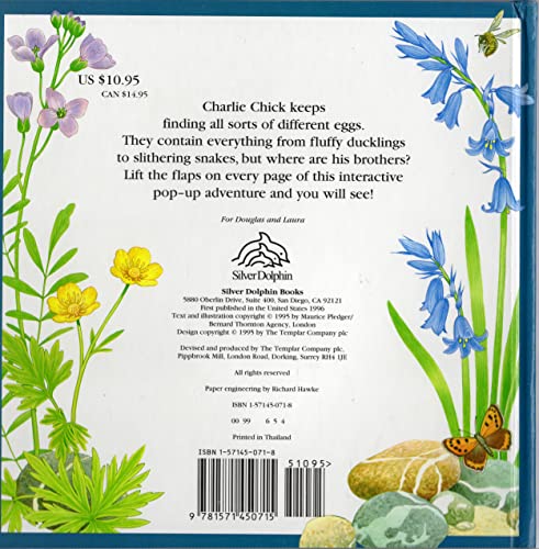 An Adventure with Charlie Chick (A Peek and Find Book)