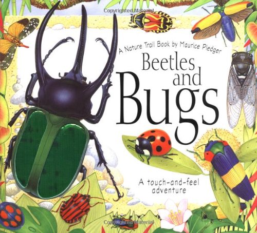 Beetles and Bugs