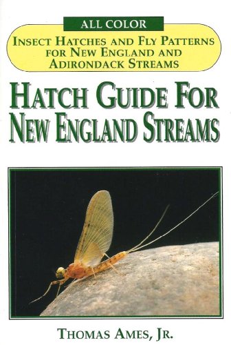 Hatch Guide for New England Streams