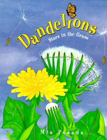 Dandelions: Stars in the Grass (Carolrhoda Picture Books)