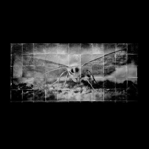 No Image Available