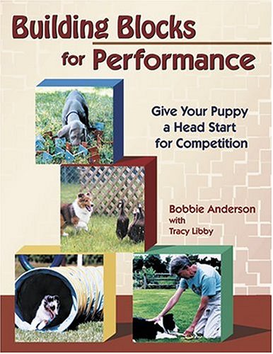 Building Blocks for Performance