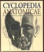 Cyclopedia Anatomicae: More Than 1,000 Illustrations of the Human and Animal Figure for the Artist