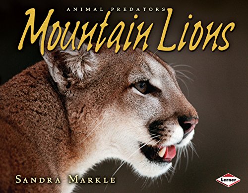 Mountain Lions (Animal Predators)