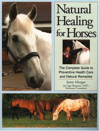 Natural Healing for Horses