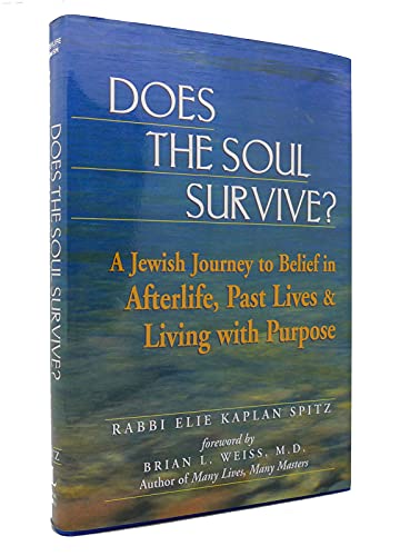 Does the Soul Survive?: A Jewish Journey to Belief in Afterlife, Past Lives & Living with Purpose