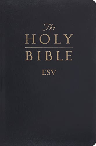 No Image Available