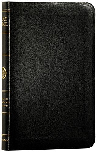 No Image Available
