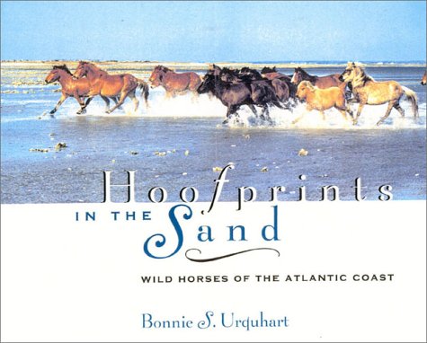 Hoofprints In The Sand: Wild Horses of the Atlantic Coast