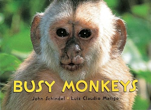 Busy Monkeys (A Busy Book)