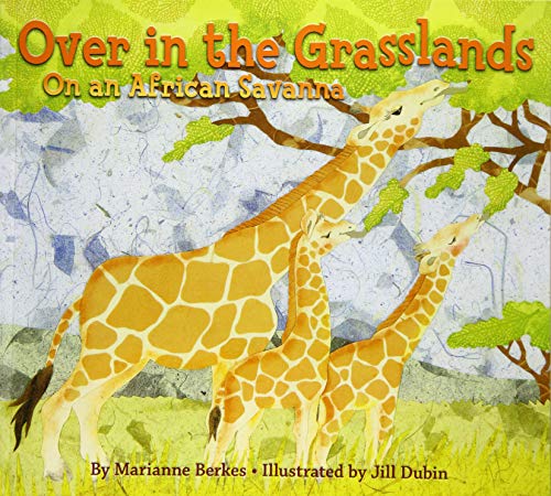Over in the Grasslands: On an African Savanna