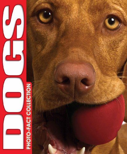Dogs: Photo Fact Collection