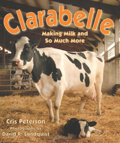 Clarabelle