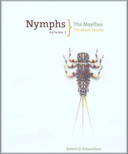 Nymphs, The Mayflies: The Major Species