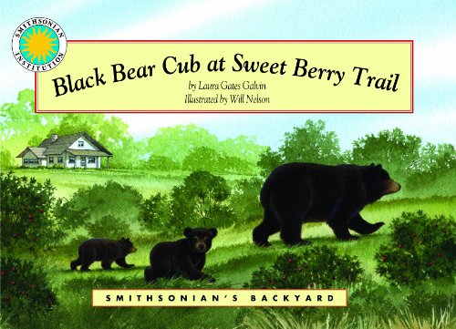 Black Bear Cub at Sweet Berry Trail (Smithsonian's Backyard)