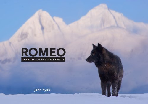 Romeo: The Story of an Alaskan Wolf