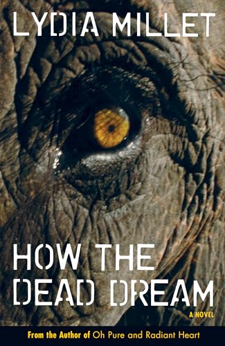How the Dead Dream: A Novel