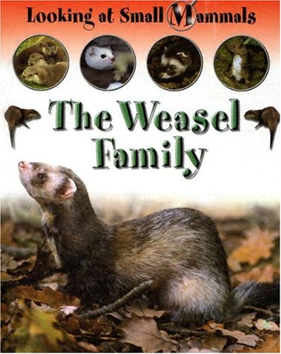 The Weasel Family (Looking at Small Mammals)