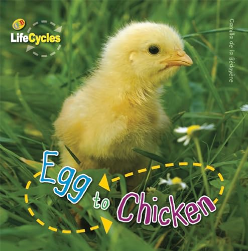 Egg to Chicken (LifeCycles)