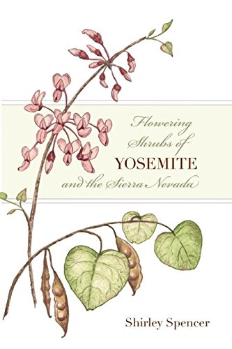 Flowering Shrubs of Yosemite and the Sierra Nevada