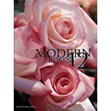 Modern Roses 12