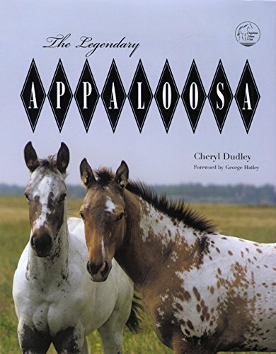 Legendary Appaloosa