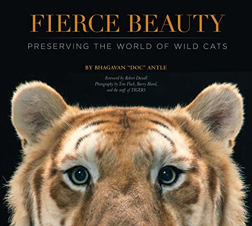 Fierce Beauty: Preserving the World of Wild Cats