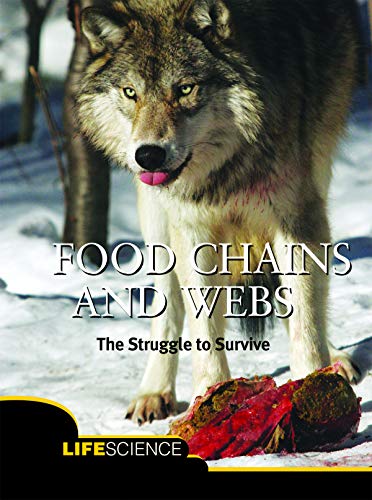 Food Chains and Webs: What Are They and How Do They Work?