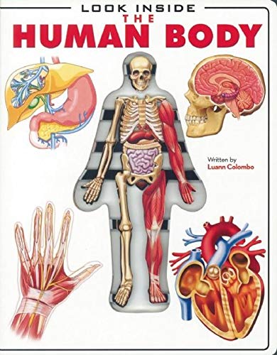 Look Inside the Human Body