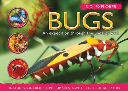 3-D Explorer: Bugs (3D Explorers)