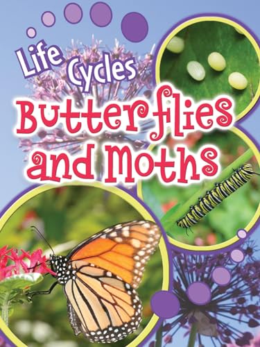 No Image Available